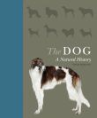 The Dog