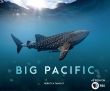 Big Pacific