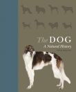 The Dog