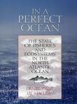 In a Perfect Ocean