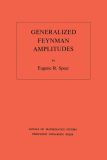 Generalized Feynman Amplitudes
