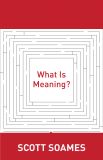 What Is Meaning?