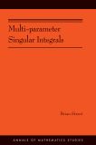 Multi-parameter Singular Integrals, Volume I