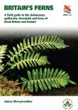 Britain's Ferns