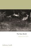 The New World