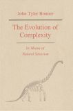 The Evolution of Complexity by Means of Natural Selection