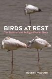 Birds at Rest