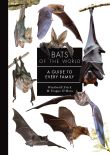 Bats of the World