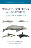 Whales, Dolphins, and Porpoises of North America