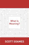 What Is Meaning?