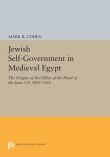 Jewish Self-Government in Medieval Egypt