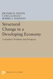 Structural Change in a Developing Economy