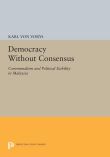 Democracy Without Consensus