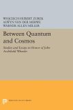 Between Quantum and Cosmos