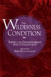 The Wilderness Condition