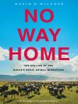 No Way Home