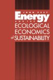 Energy and the Ecological Economics of Sustainability