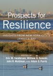 Prospects for Resilience