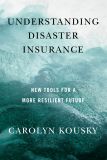 Understanding Disaster Insurance